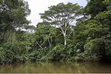 官方确认本次Twitch被黑事件是由于服务器错误